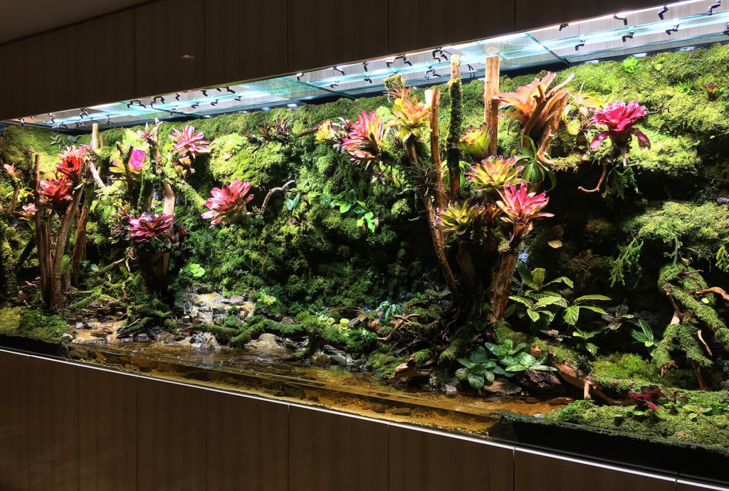 paludarium