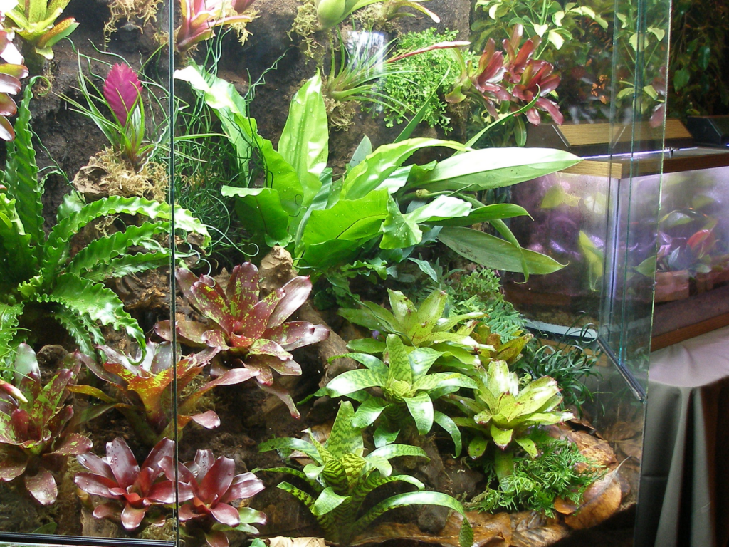 vivarium